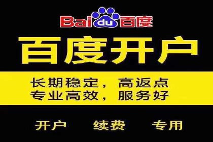 百度推广平台在旅游行业的应用案例